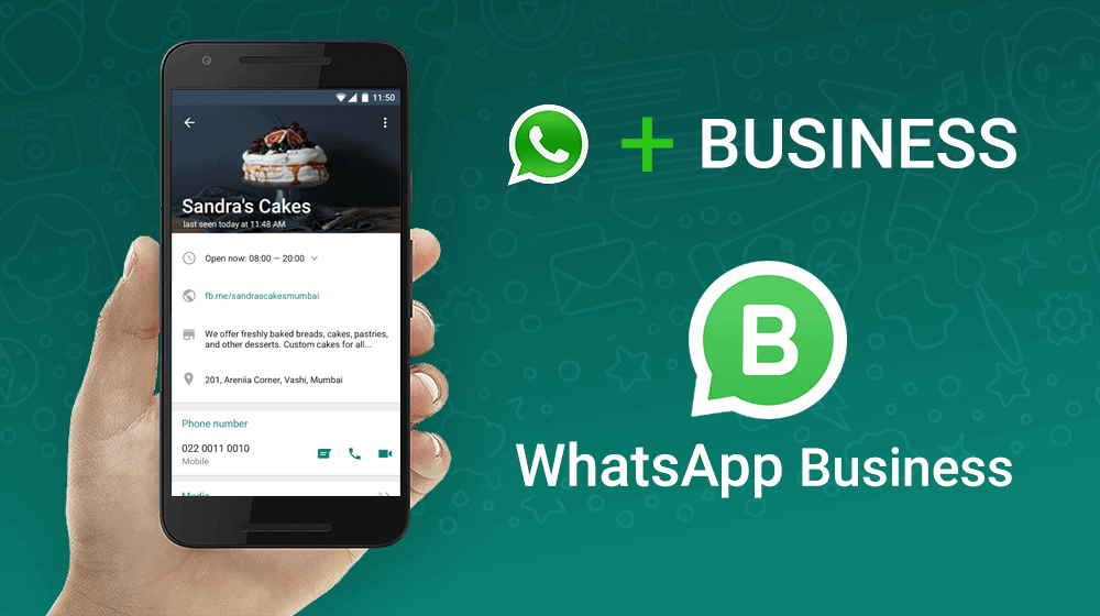 whatsapp business yonetimi